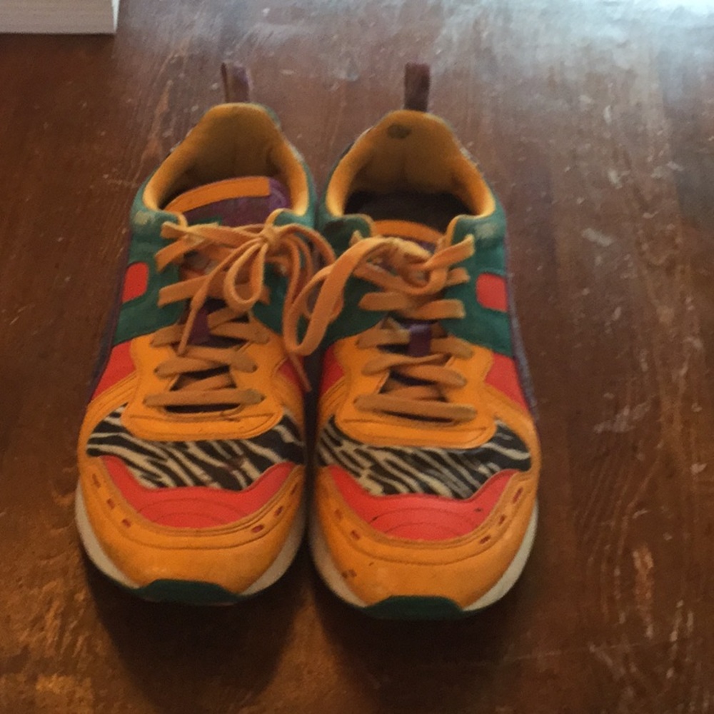 Puma Animals